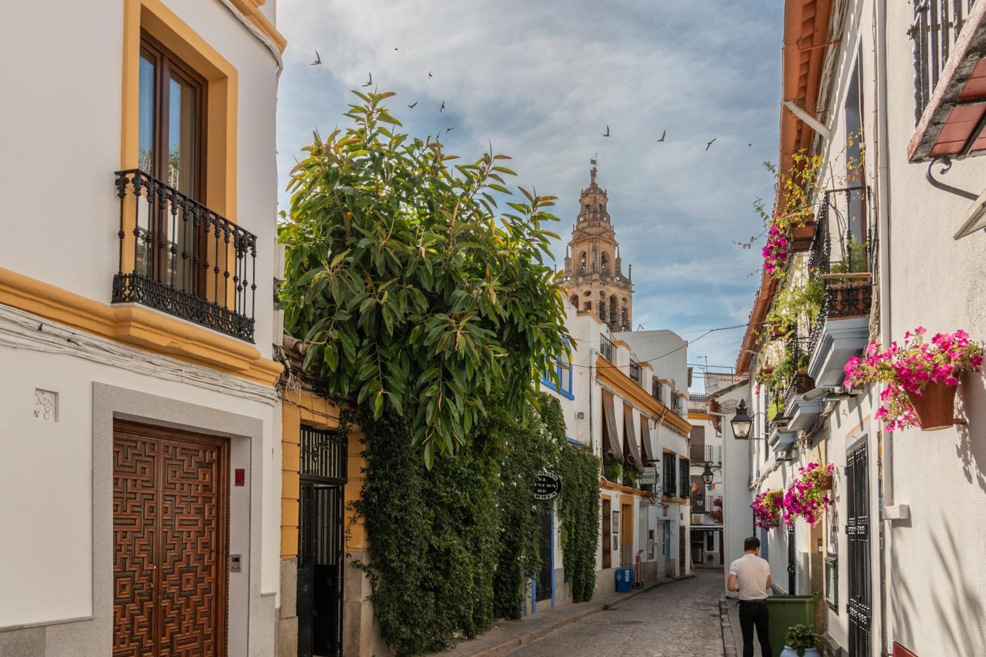 Апартаменты Luxury El Patio De La Juderia Кордова Экстерьер фото